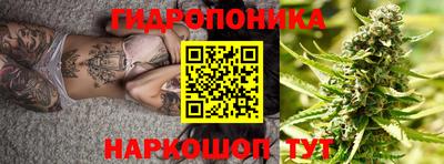 прущие грибы Апшеронск