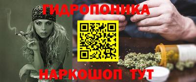 прущие грибы Апшеронск