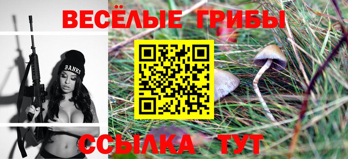 Псилоцибиновые грибы Cubensis  Вход с VPN  Галлюциногенные грибы Psilocybine cubensis  Белово 